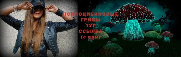 меф Корсаков