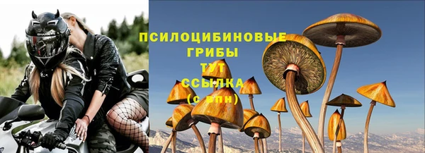 прущие крисы Краснослободск